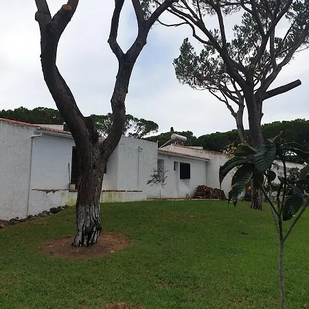 Açoteias M40 Albufeira